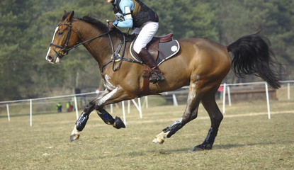 Galop
