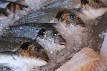 Frische Doraden. Fischmarkt in Bergen
