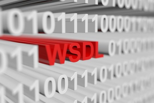 WSDL is represented as a binary code with blurred background