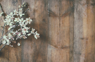 image of spring white cherry blossoms tree on wooden table
