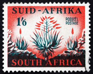 Postage stamp South Africa 1953 Aloes