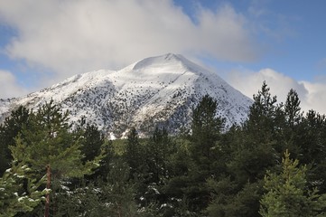 Peñalampa: Montaña nevada con orla de pinos