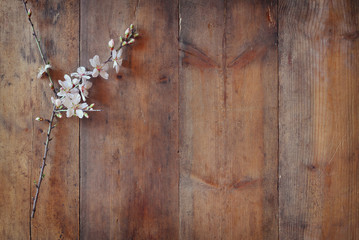 image of spring white cherry blossoms tree on wooden table
