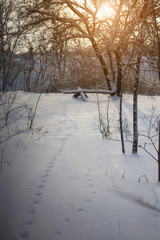 Footprints in the snow.