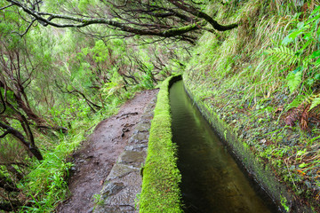 Twenty-five Fountains Levada hiking trail, Madeira (Portugal) 