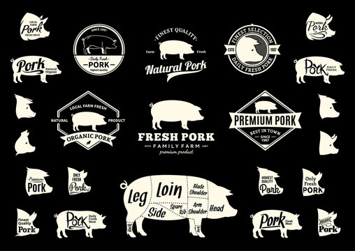 Vector Pork Logo, Icons, Charts and Design Elements