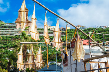Stock fish skin hanging in Camara de Lobos, Madeira (Portugal)