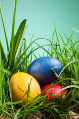 Easter colored eggs in the grass