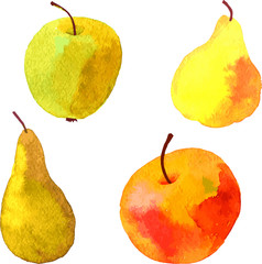 watercolor drawing fruits