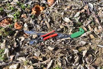 pruning tools