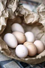 Frisch gesammelte Eier