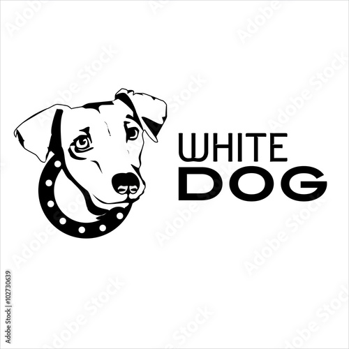 "White Dog" Stock image and royalty-free vector files on Fotolia.com