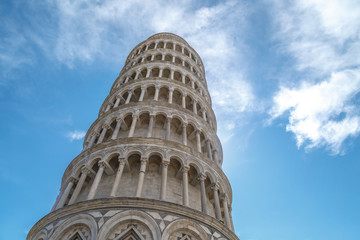 Fototapeta premium Pisa Tower View