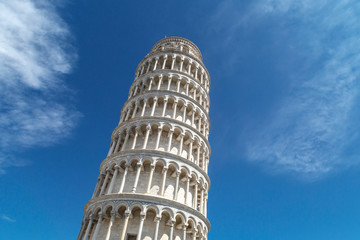 Pisa Tower View