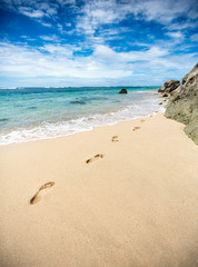 Footprints in the sand