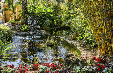 Fototapeta na wymiar A tropical landscape with a pond.