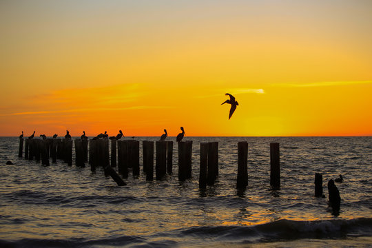 Stunning sunset at Naples FL
