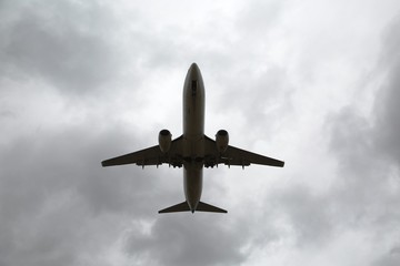 Airplane
