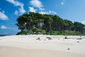 Littoral forest at laxmanpur Beach, Neil siland, Andaman, India 