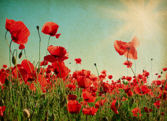 Field of poppies against blue sky with sun. Added paper texture. Photo in retro style. © Antonel