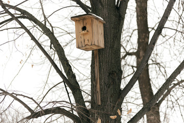 Bird house on trunk of the tree in winter park