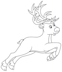 Reindeer