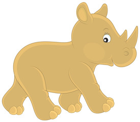 young rhinoceros walking