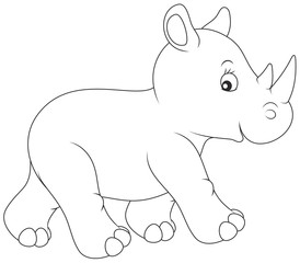 young rhinoceros walking