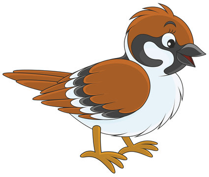 Cartoon Sparrow Images – Browse 12,264 Stock Photos, Vectors, and Video | Adobe Stock Cartoon Sparrow Images – Browse 12,264 Stock Photos, Vectors, and Video | Adobe Stock
