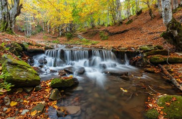 Autumn in the forest mountain stream