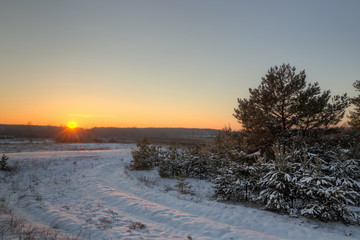 Forest road at sunny day in winter season. Sun shining over country road at sunset, sunrise. Winter woods.
