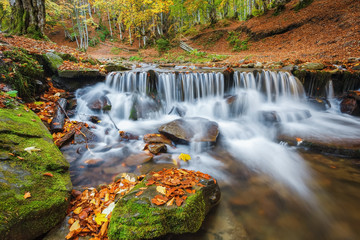 Fototapeta na wymiar Carpathian Mountains. The mountain river in the autumn forest