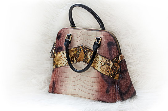 Women handbag.Designer stylish luxury leather purse on white background.
