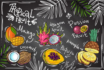 vector tropical fruit