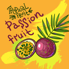 hand drwan vector fruit 