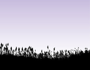Fototapeta na wymiar vector grass background with sky