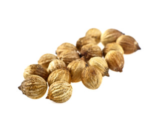Close up of coriander seeds on white background