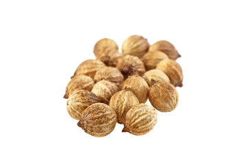 Close up of coriander seeds on white background