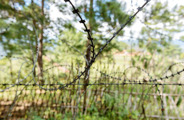fence with barbed wire, borderlands between Myanmar and Thailand