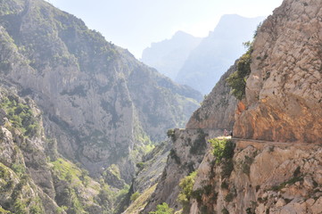 Fototapeta na wymiar Ruta del Cares, Picos de Europa