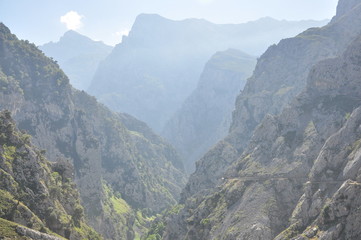 Naklejka premium Ruta del Cares, Picos de Europa