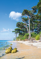 Obraz premium rocks exposed at Laxmanpur beach, Neil island, Andaman, India