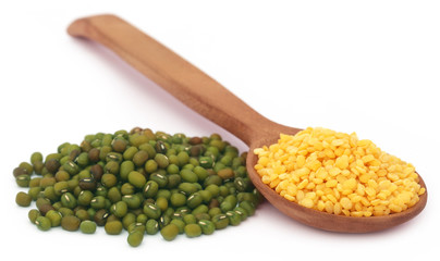 Mung bean in wooden spoon