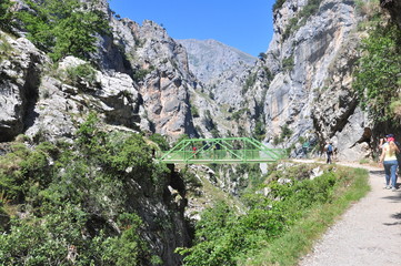 Ruta del Cares, Asturias, Picos de Europa