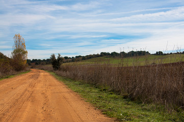 Fototapeta premium Camino rural Zamora 