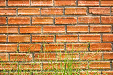 red brick and grass wall