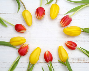 Tulpen
