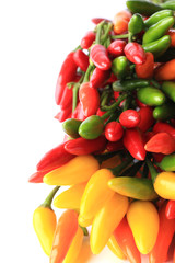 hot chili peppers isolated on white background