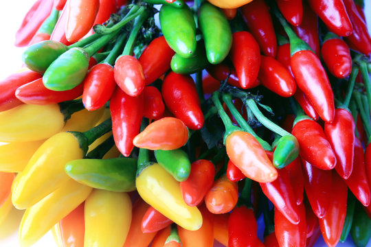 hot chili peppers isolated on white background