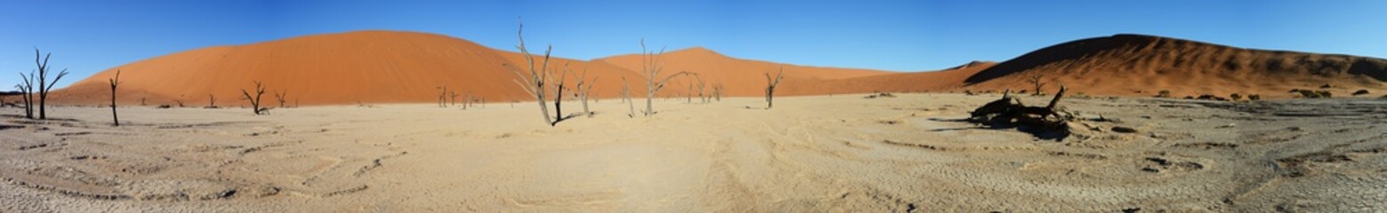 Dead Vlei, Sossusvlei, Namibia